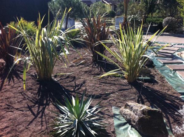 PLANTA-SERVICES
