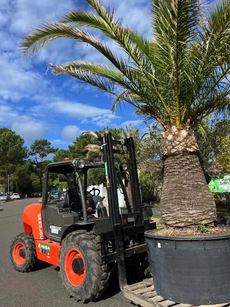 Plantation & livraison à domicile