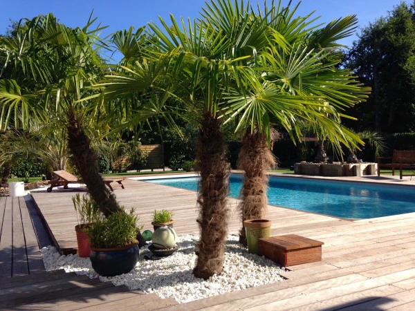 paysagiste-libourne-planta-services-1