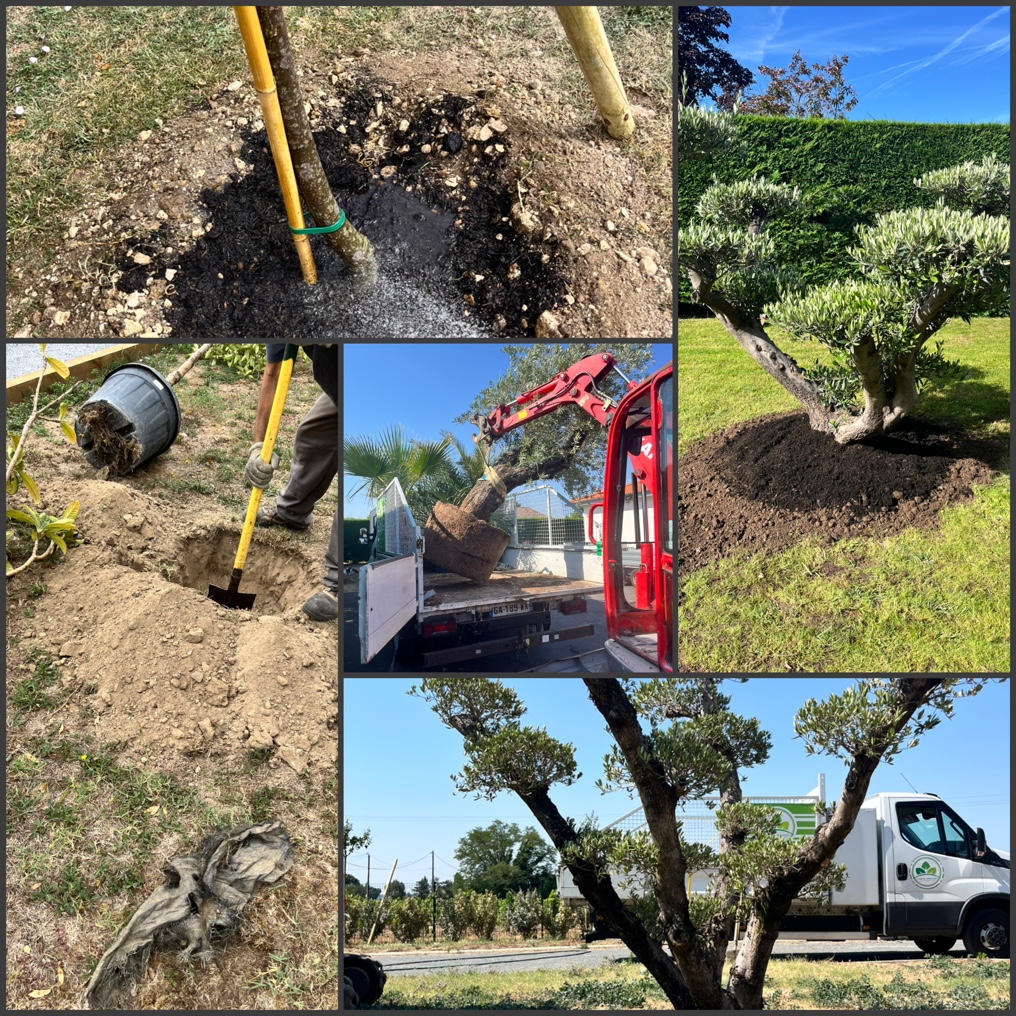 Plantation de nos végétaux 