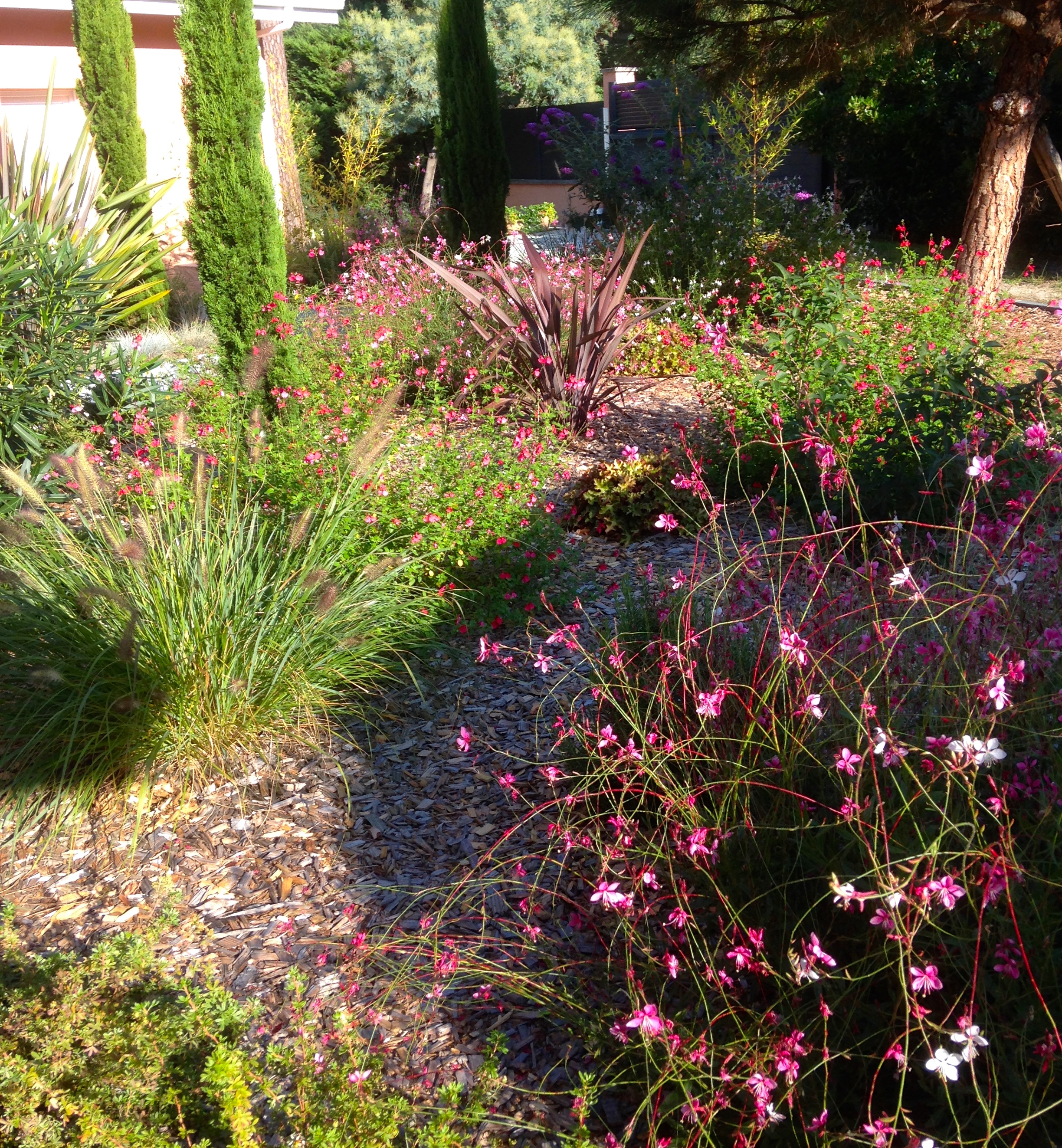 Massif jardin fleuri